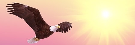 Energie update Blauwe Adelaar levenspad 12-24 juni 2024: Bouwen aan een mooiere wereld